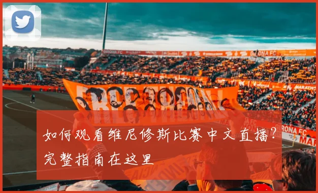 如何观看维尼修斯比赛中文直播？完整指南在这里